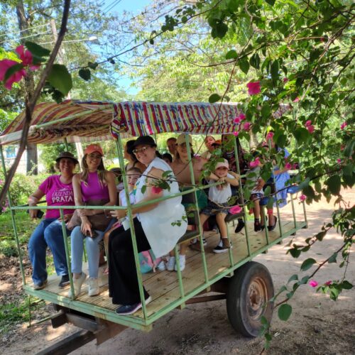 passeio de trezinho - Fazenda Prata